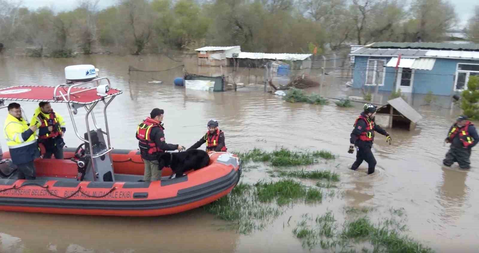 Sular altında kalan bağ evinde mahsur kalan iki köpeği belediye ekipleri kurtardı
