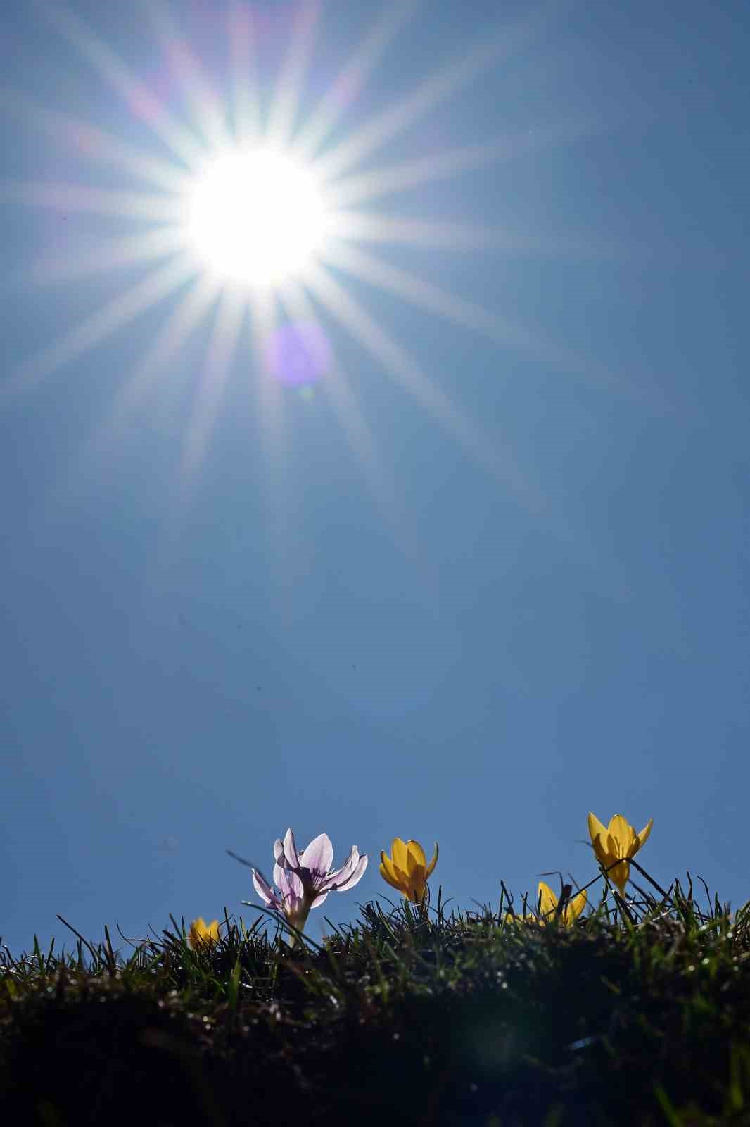 Süleymaniye’de renk cümbüşü: Sarı ve mor çiğdemler açtı
Süleymaniye’de renk cümbüşü: Sarı ve mor çiğdemler açtı