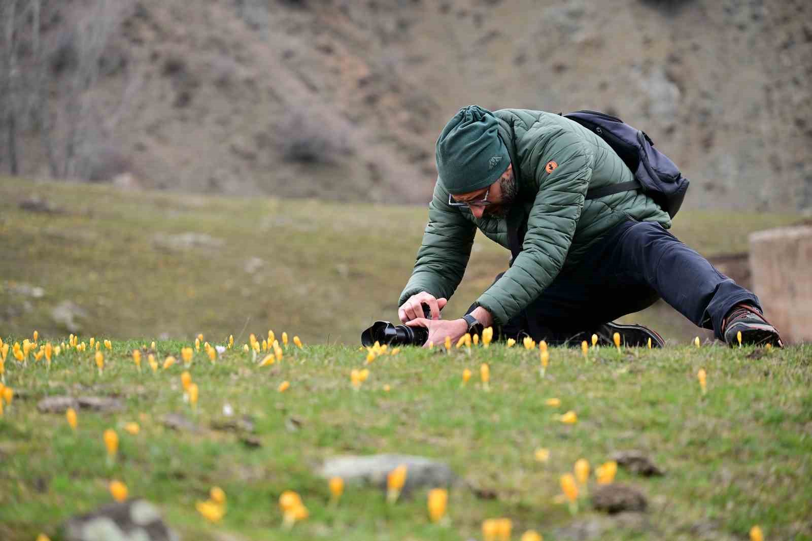 Süleymaniye’de renk cümbüşü: Sarı ve mor çiğdemler açtı
Süleymaniye’de renk cümbüşü: Sarı ve mor çiğdemler açtı