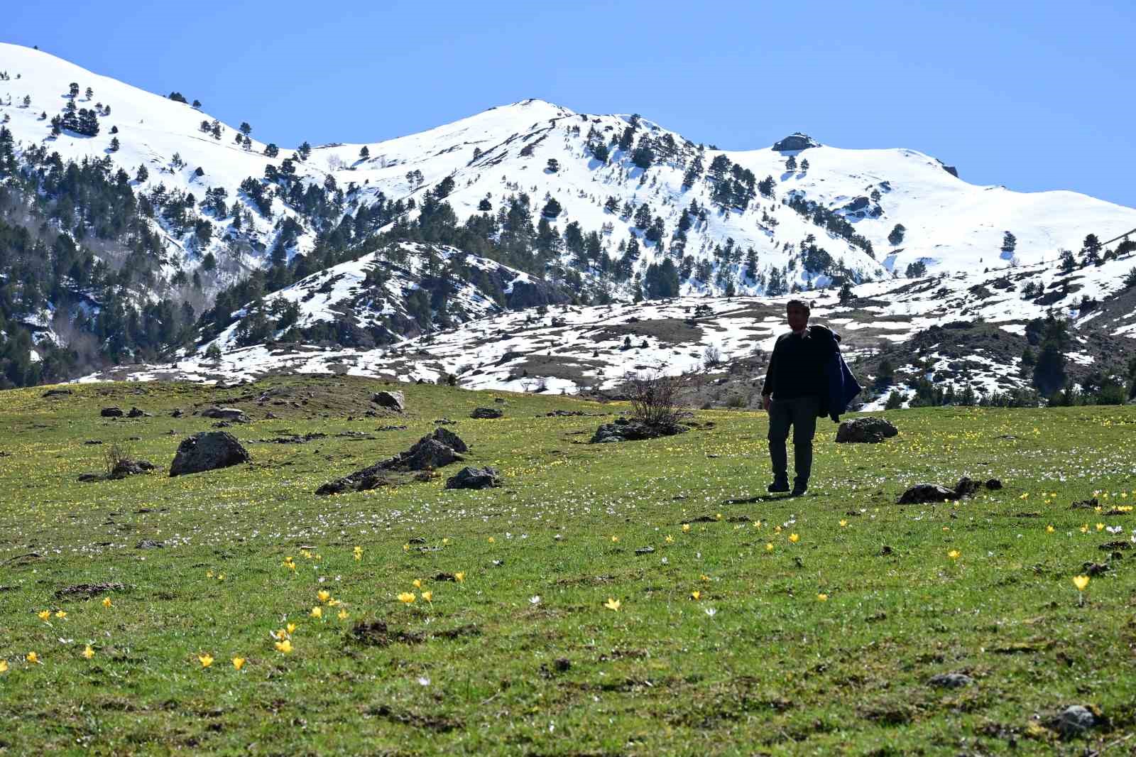 Süleymaniye’de renk cümbüşü: Sarı ve mor çiğdemler açtı
Süleymaniye’de renk cümbüşü: Sarı ve mor çiğdemler açtı