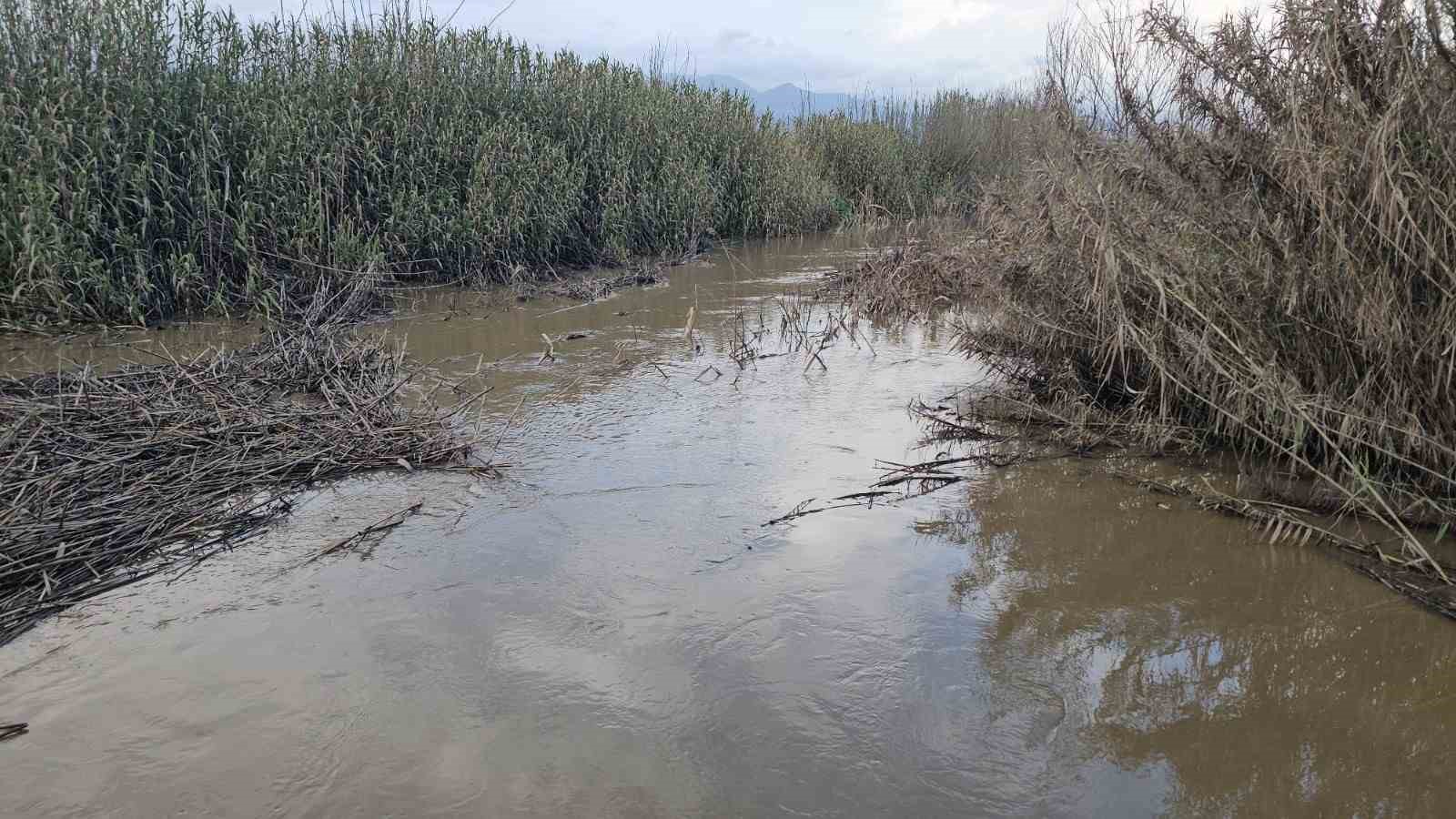 Sultanhisar’da kurutma kanalı taştı, tarım arazileri göle döndü

