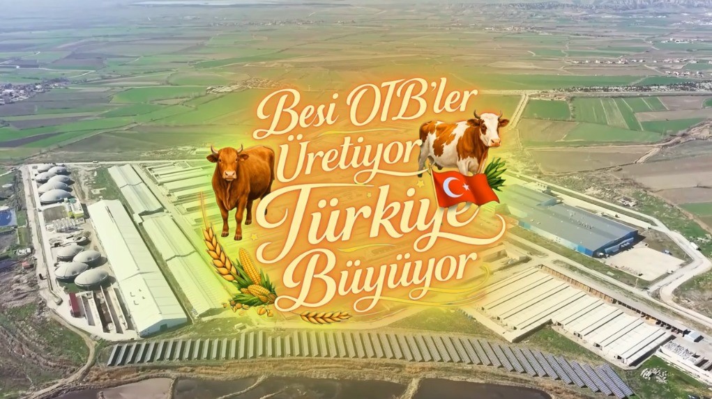 Suluova Besi OTB’de 15 bin 650 büyükbaş kapasite, bin 500 kişiye istihdam
