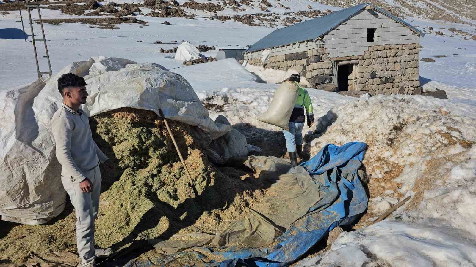 Süphan Dağı’nın eteğinde zorlu hayvancılık mücadelesi
