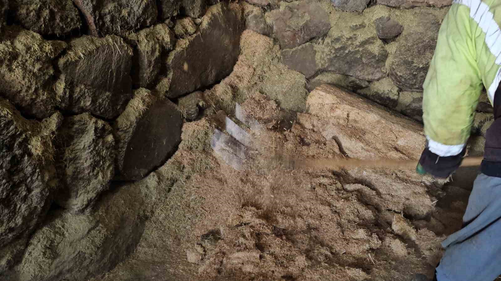 Süphan Dağı’nın eteğinde zorlu hayvancılık
