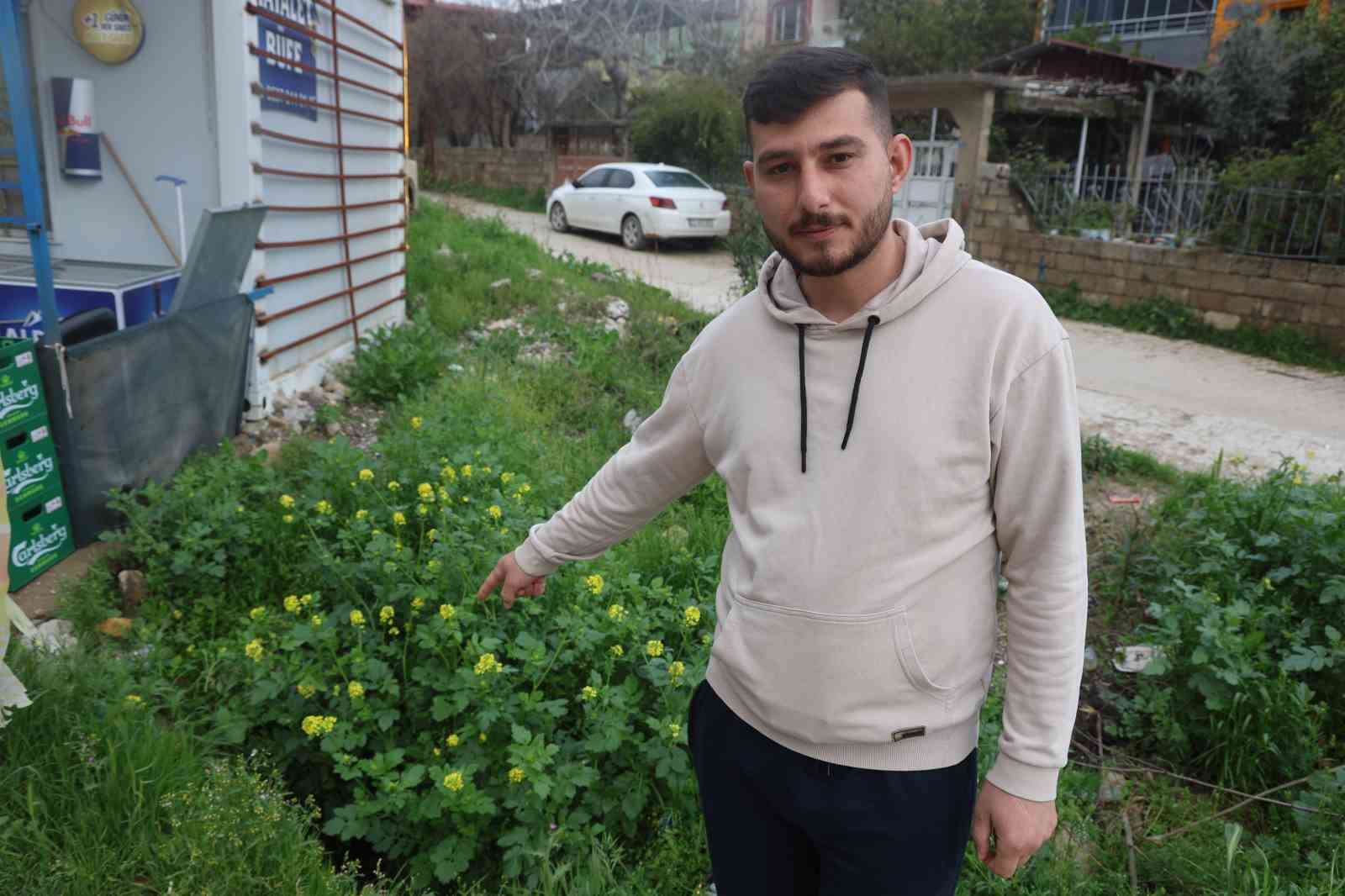 Sürünün geçişi esnasında 3 metrelik kuyuya düşen koyunu esnaf kurtardı: O anlar kamerada
