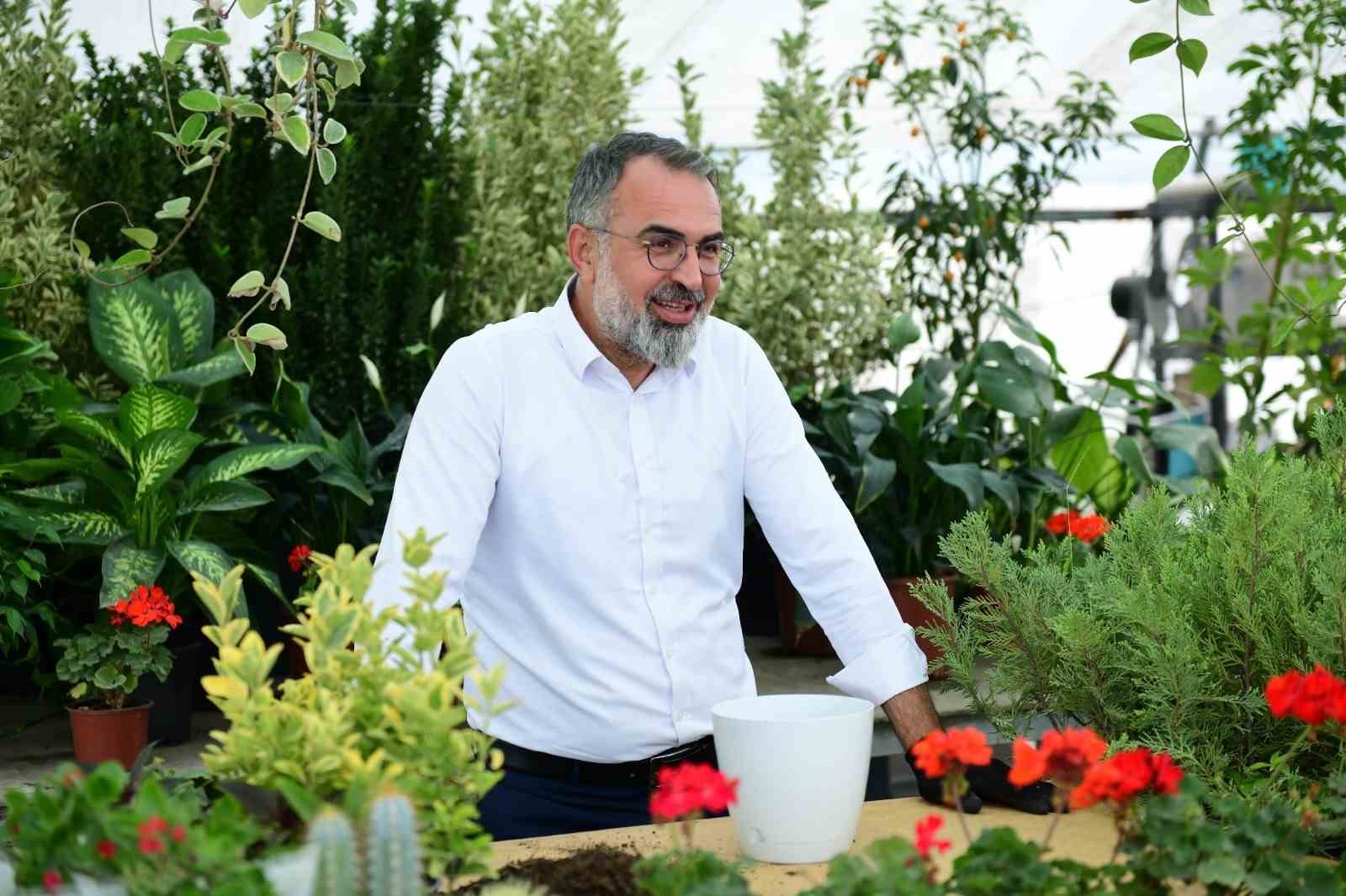 Süs bitkileri üretimi Kestel Belediyesi ile dünya pazarına açılıyor
