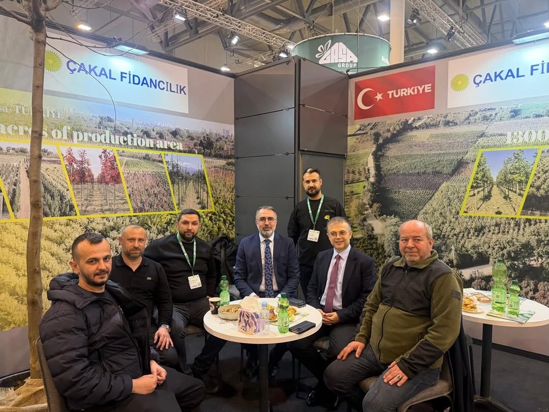 Süs bitkileri üretimi Kestel Belediyesi ile dünya pazarına açılıyor
