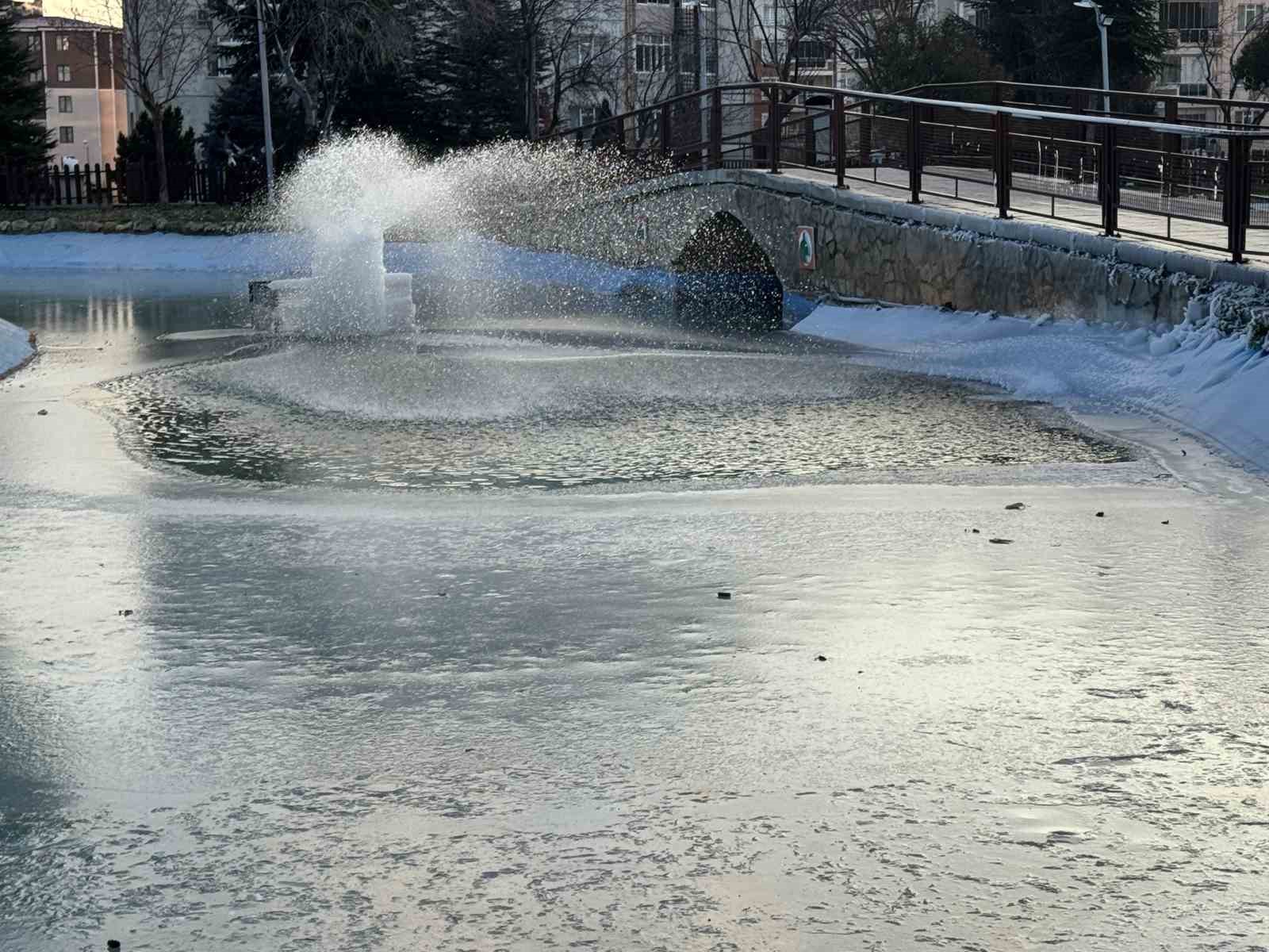 Süs havuzları buz heykeline dönüştü

