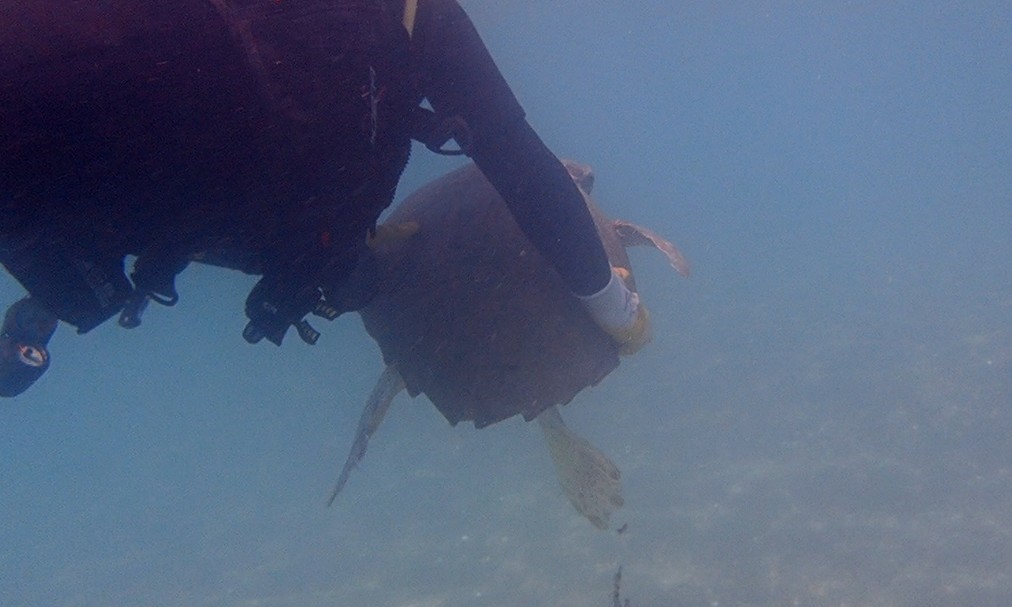 Suyun altını üstüne getiriyor, can kurtarmak için saniyelerle yarışıyorlar
