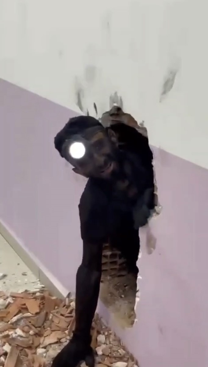 Tadilat ustası bacada ölümden döndü
