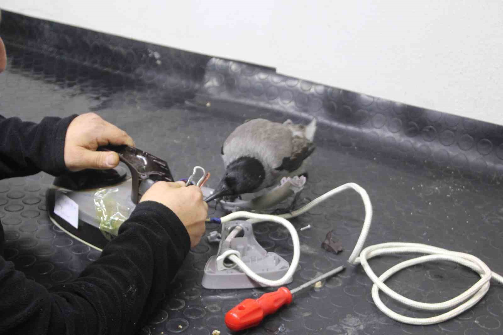 Tamirci çırağı karga
