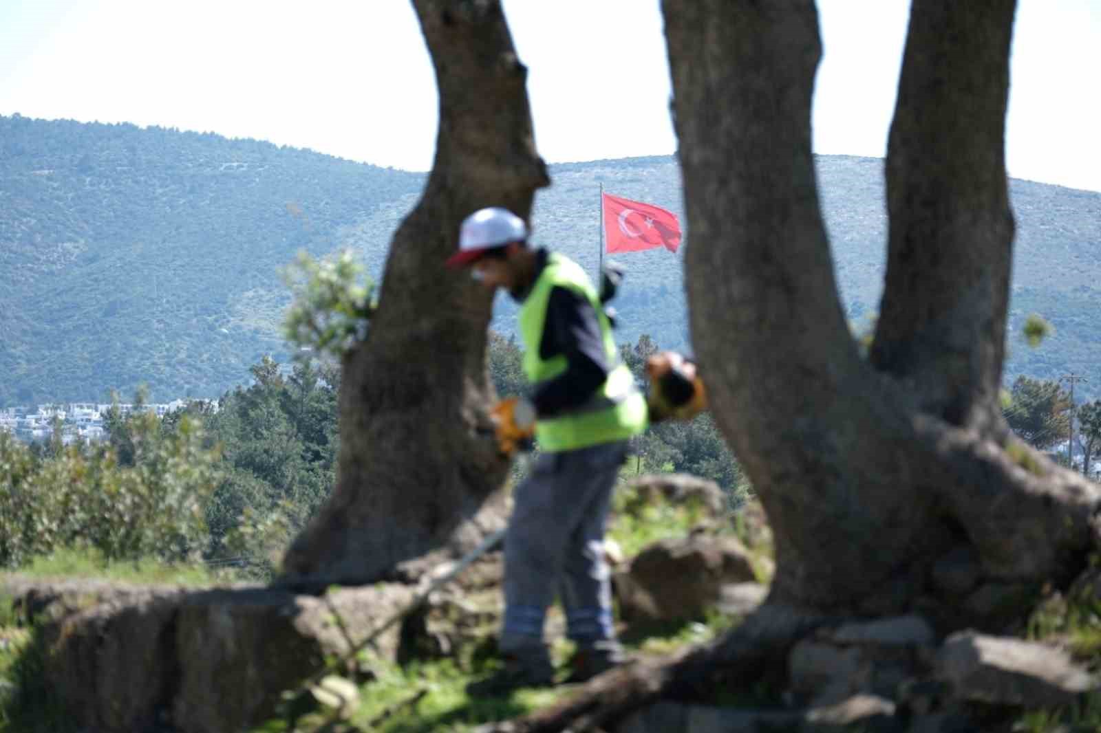 Tarihi surlarda kapsamlı temizlik çalışması
