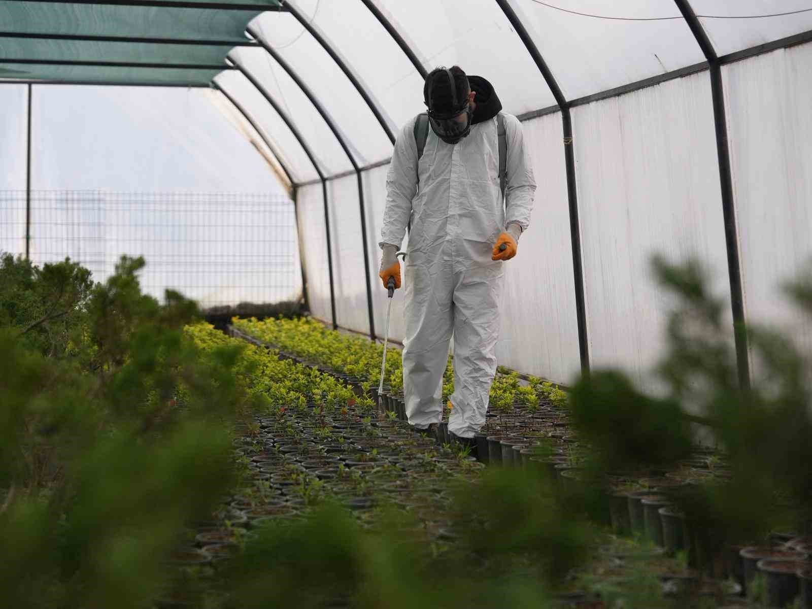 Tarım Akademisi’nden tarımsal kalkınmaya destek: Öğrenciler öğrendiklerini sahada uyguluyor
Tarım Akademisi’nden tarımsal kalkınmaya destek: Öğrenciler öğrendiklerini sahada uyguluyor