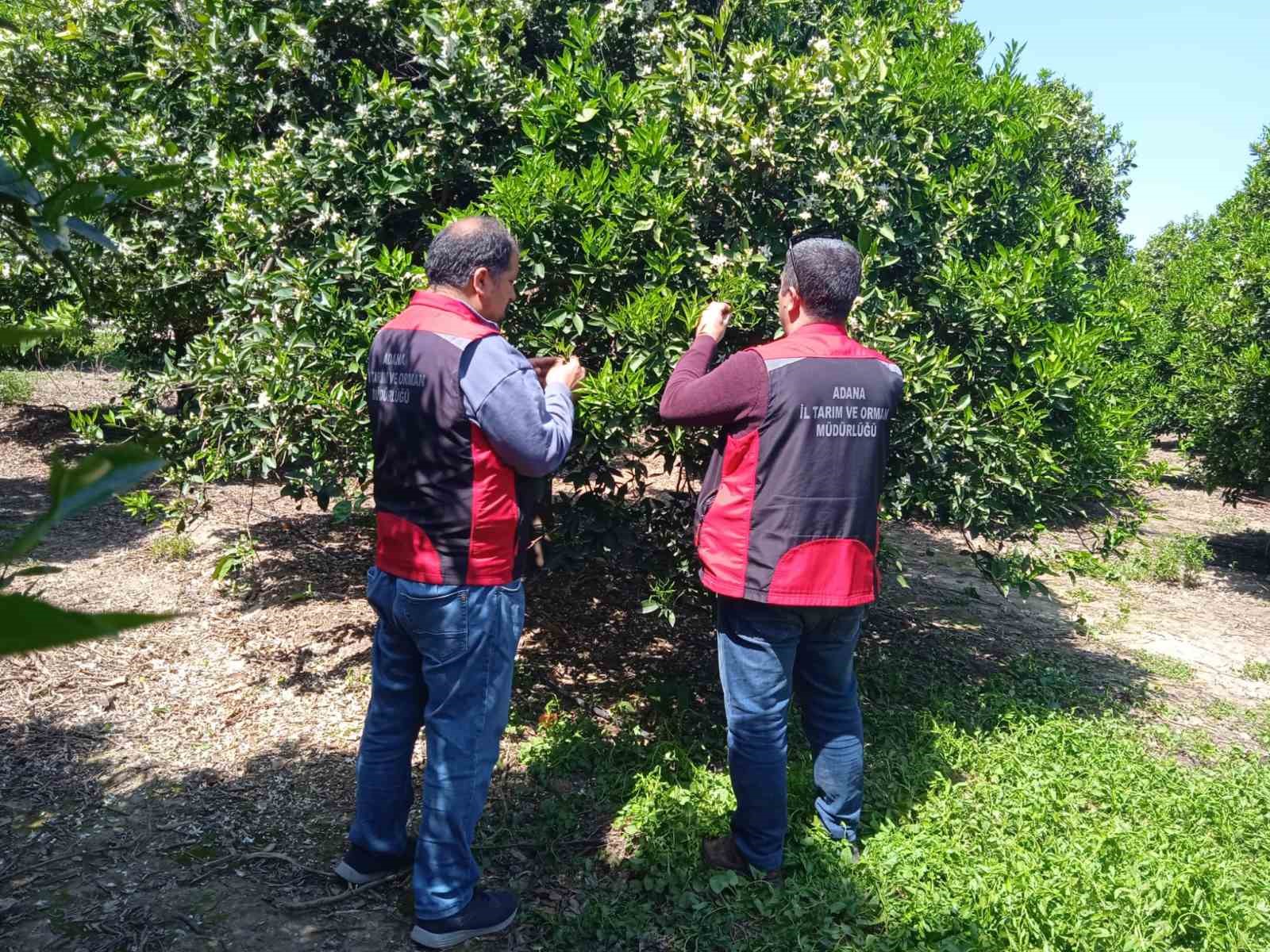 Tarımda biyolojik mücadele seferberliği
