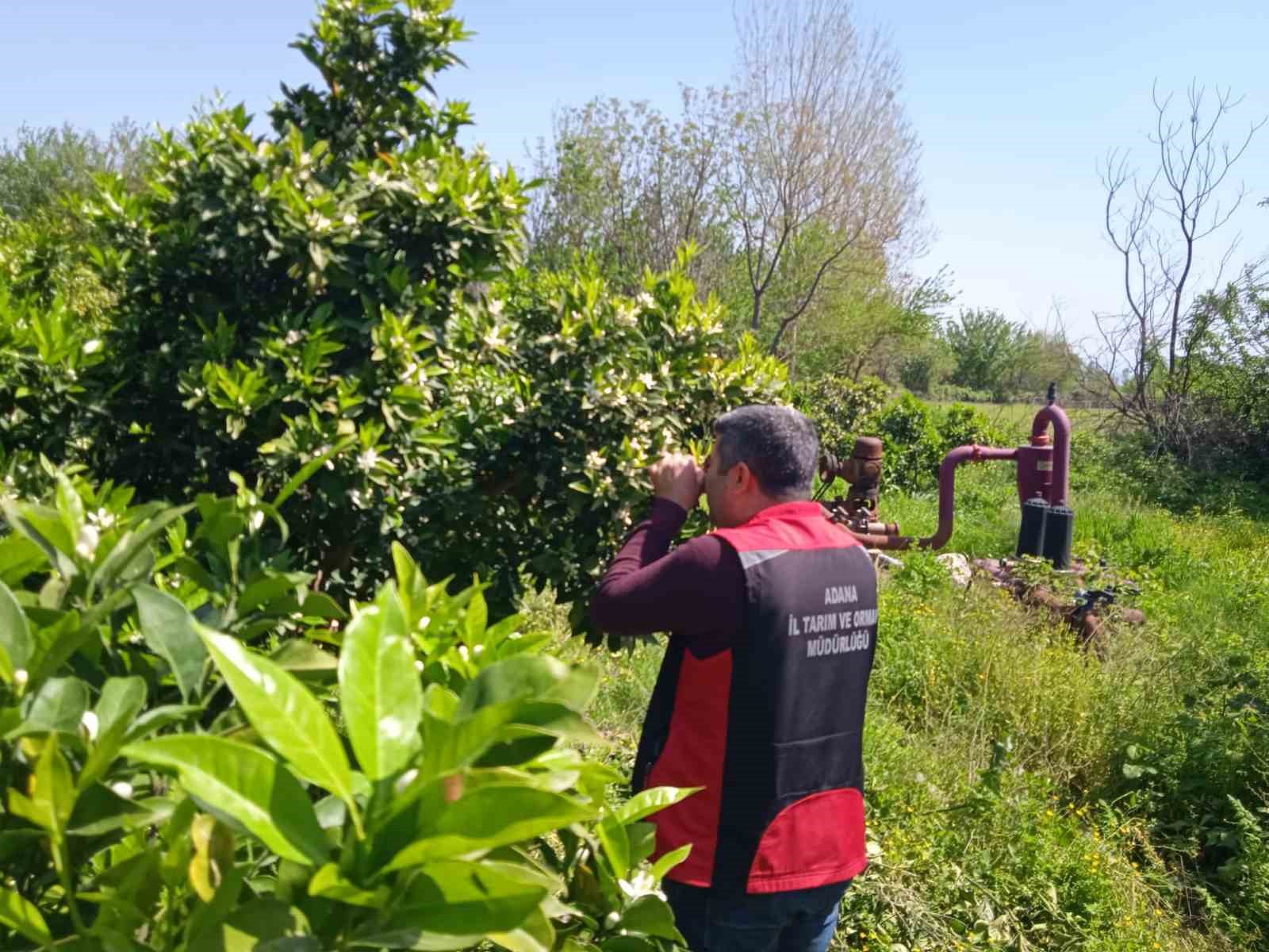 Tarımda biyolojik mücadele seferberliği
