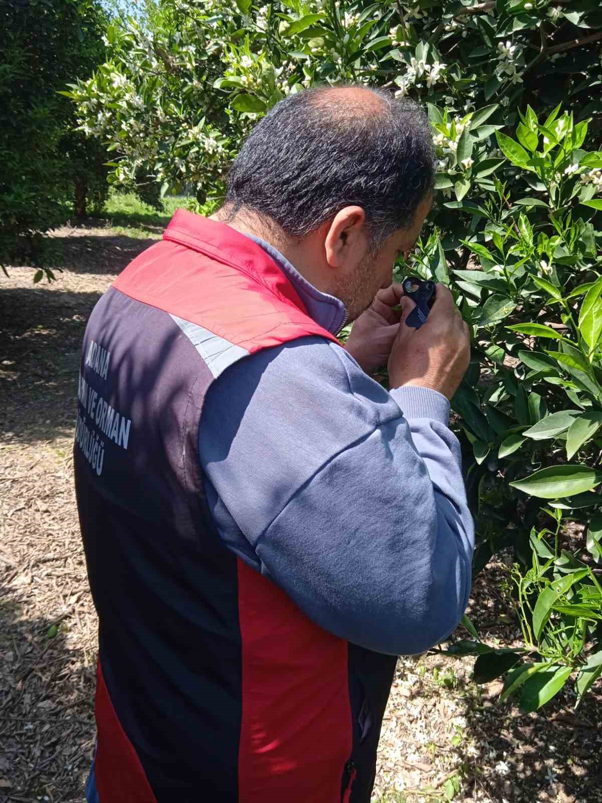 Tarımda biyolojik mücadele seferberliği
