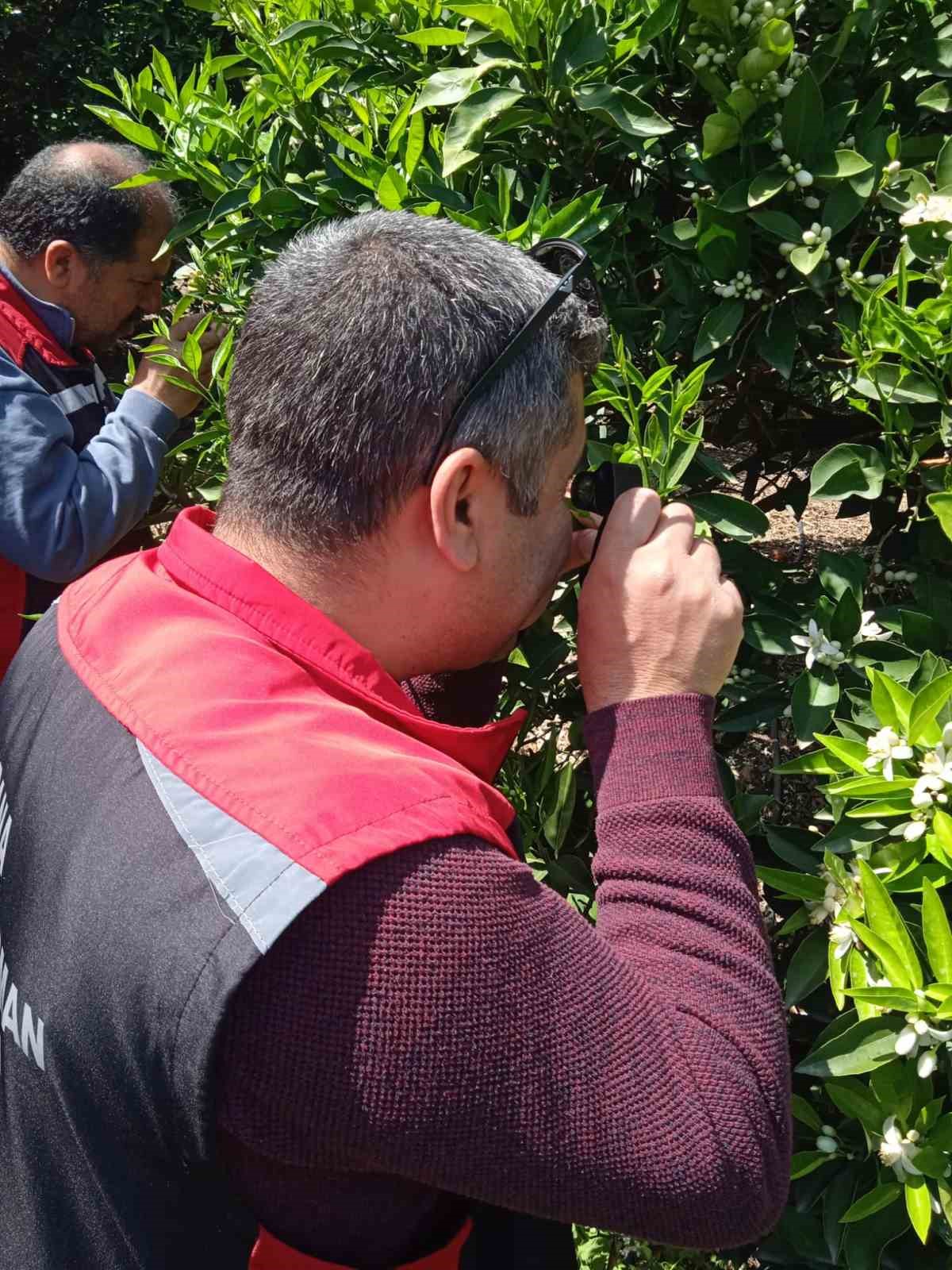 Tarımda biyolojik mücadele seferberliği
