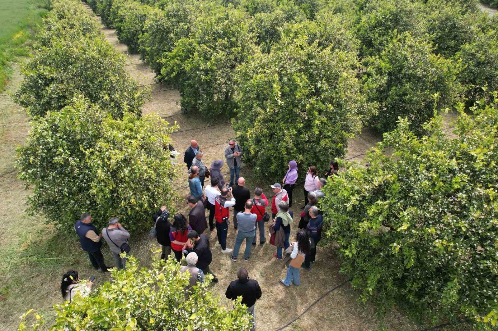 Tarımda yeni dönem başlıyor
Tarımda yeni dönem başlıyor