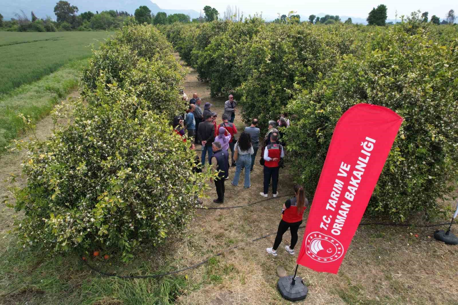 Tarımda yeni dönem başlıyor
Tarımda yeni dönem başlıyor