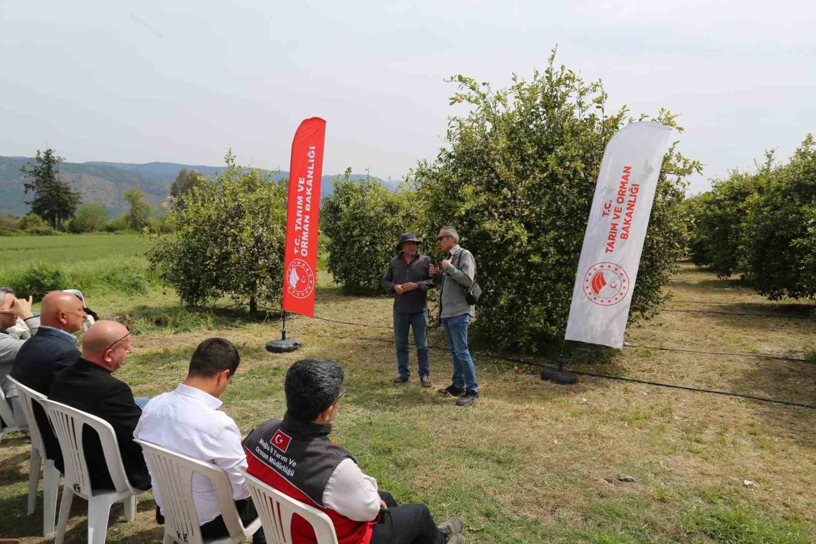 Tarımda yeni dönem başlıyor
Tarımda yeni dönem başlıyor