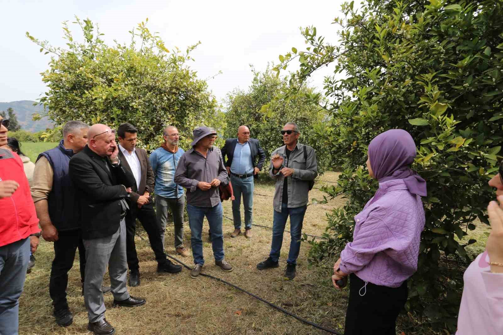 Tarımda yeni dönem başlıyor
Tarımda yeni dönem başlıyor