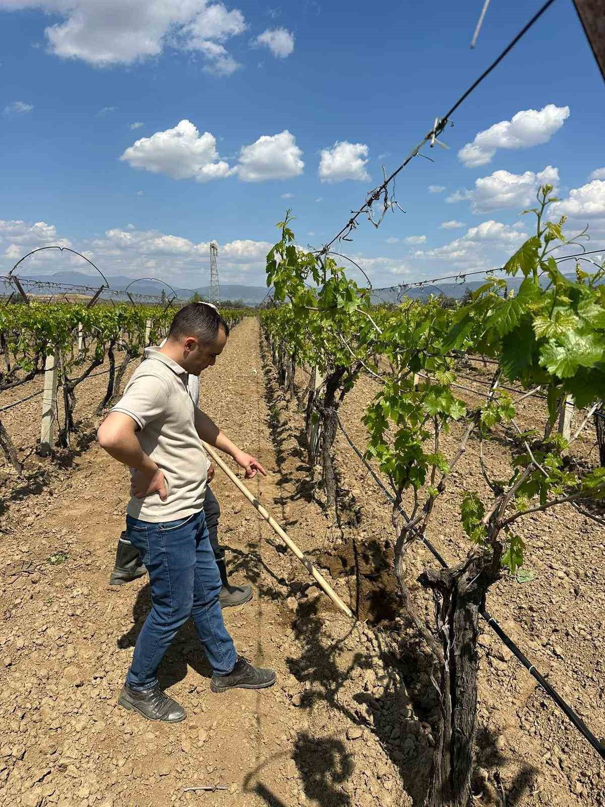 TARİŞ’ten bağlara yakın takip
