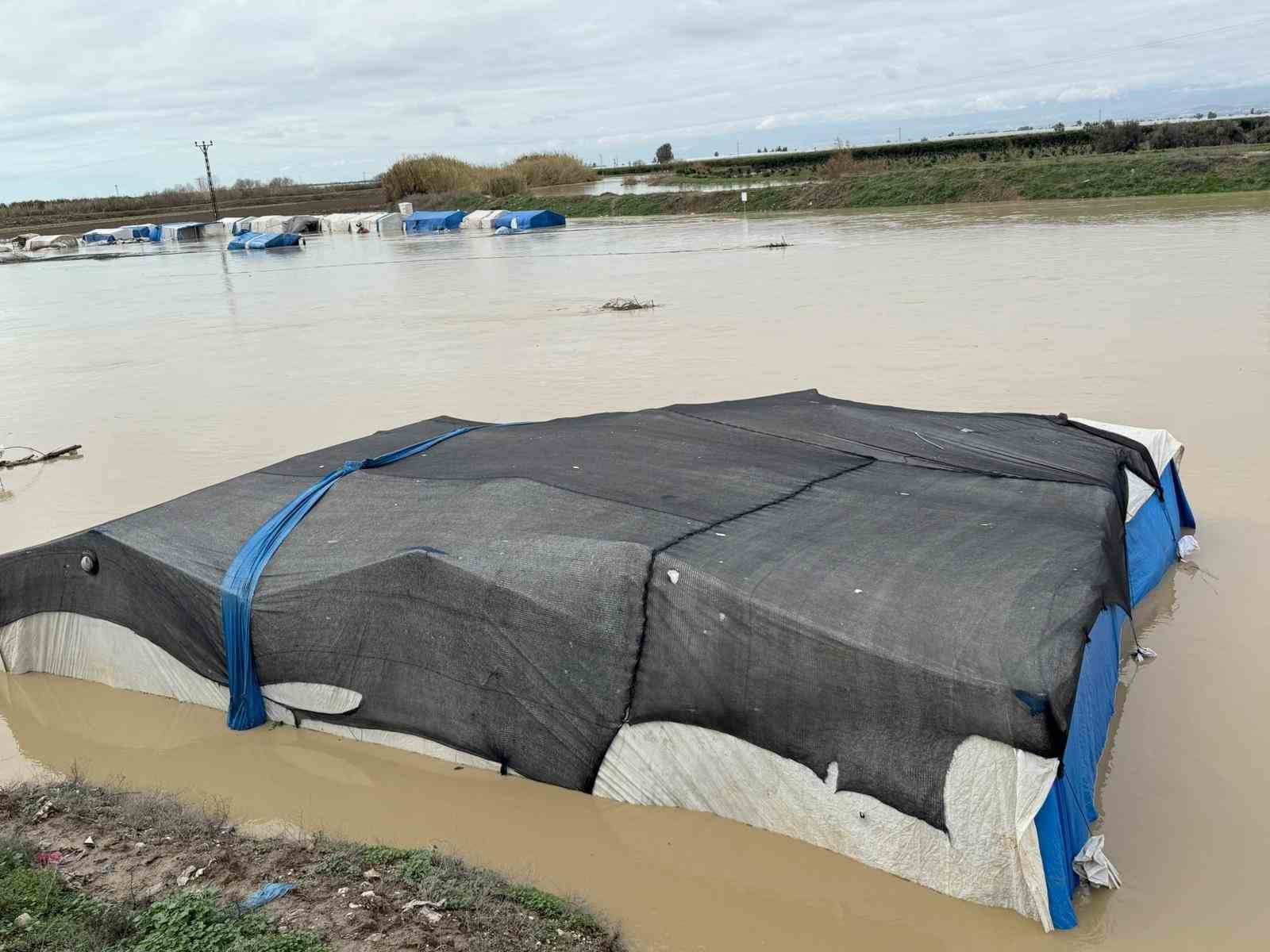 Tarsus’ta 8 bin dönüm tarım arazisi sular altında kaldı
