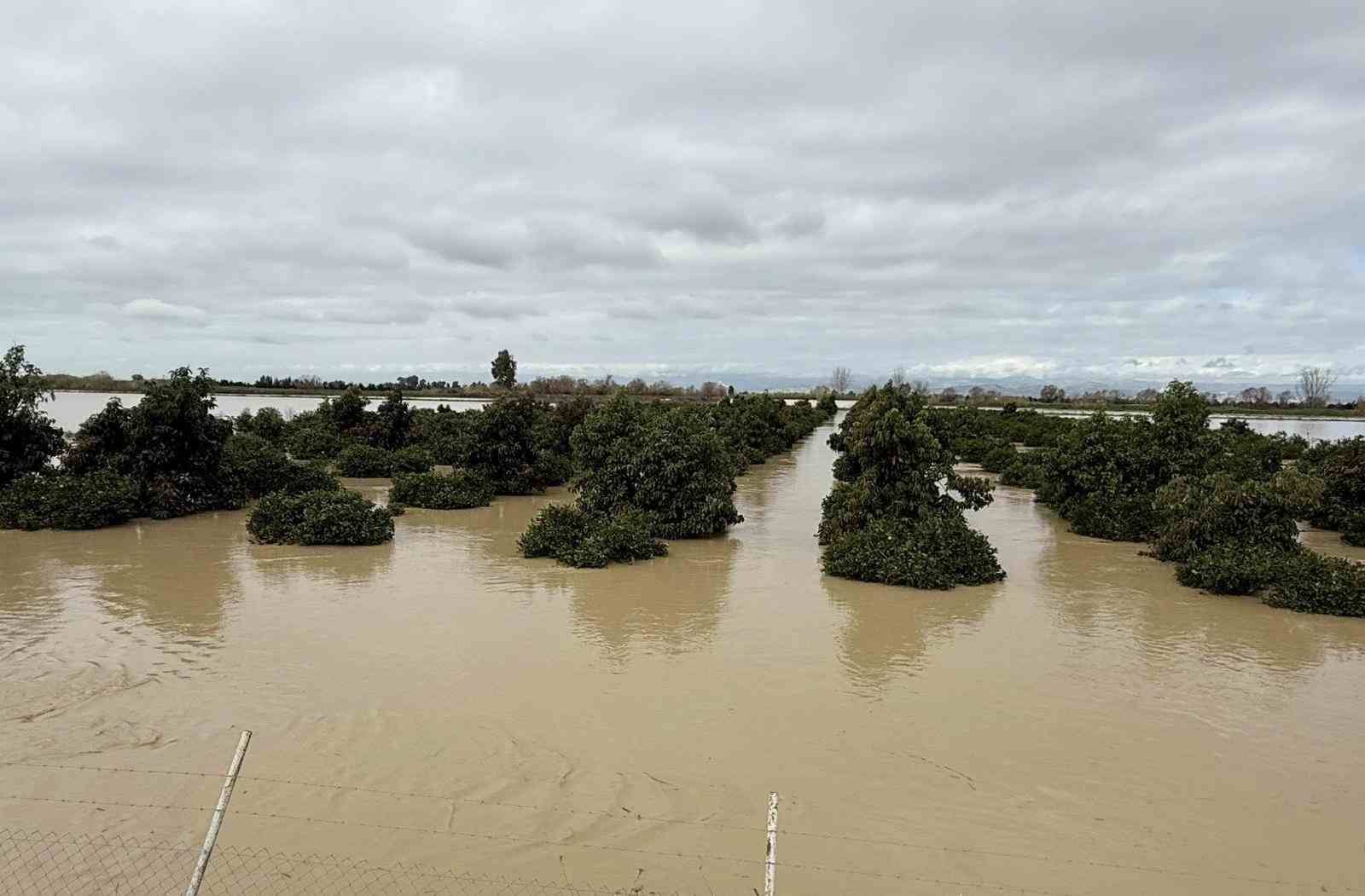 Tarsus’ta 8 bin dönüm tarım arazisi sular altında kaldı
