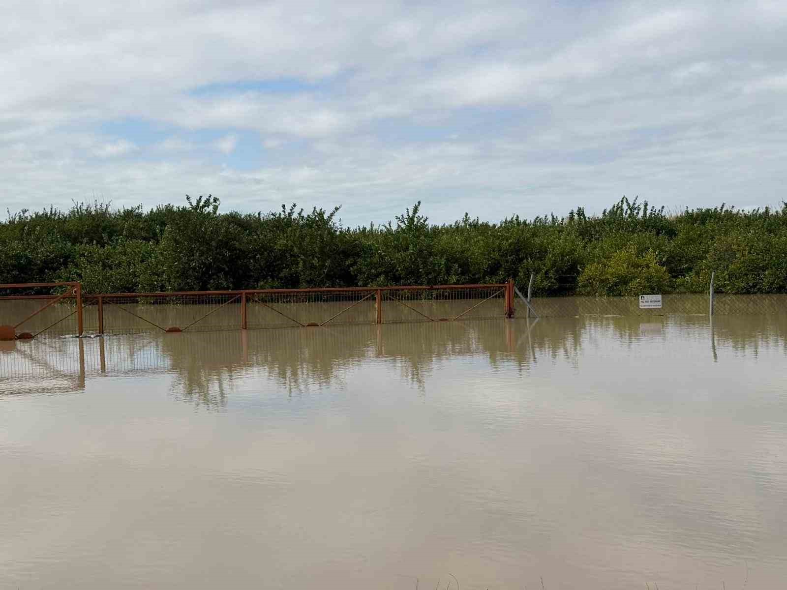 Tarsus’ta 8 bin dönüm tarım arazisi sular altında kaldı
