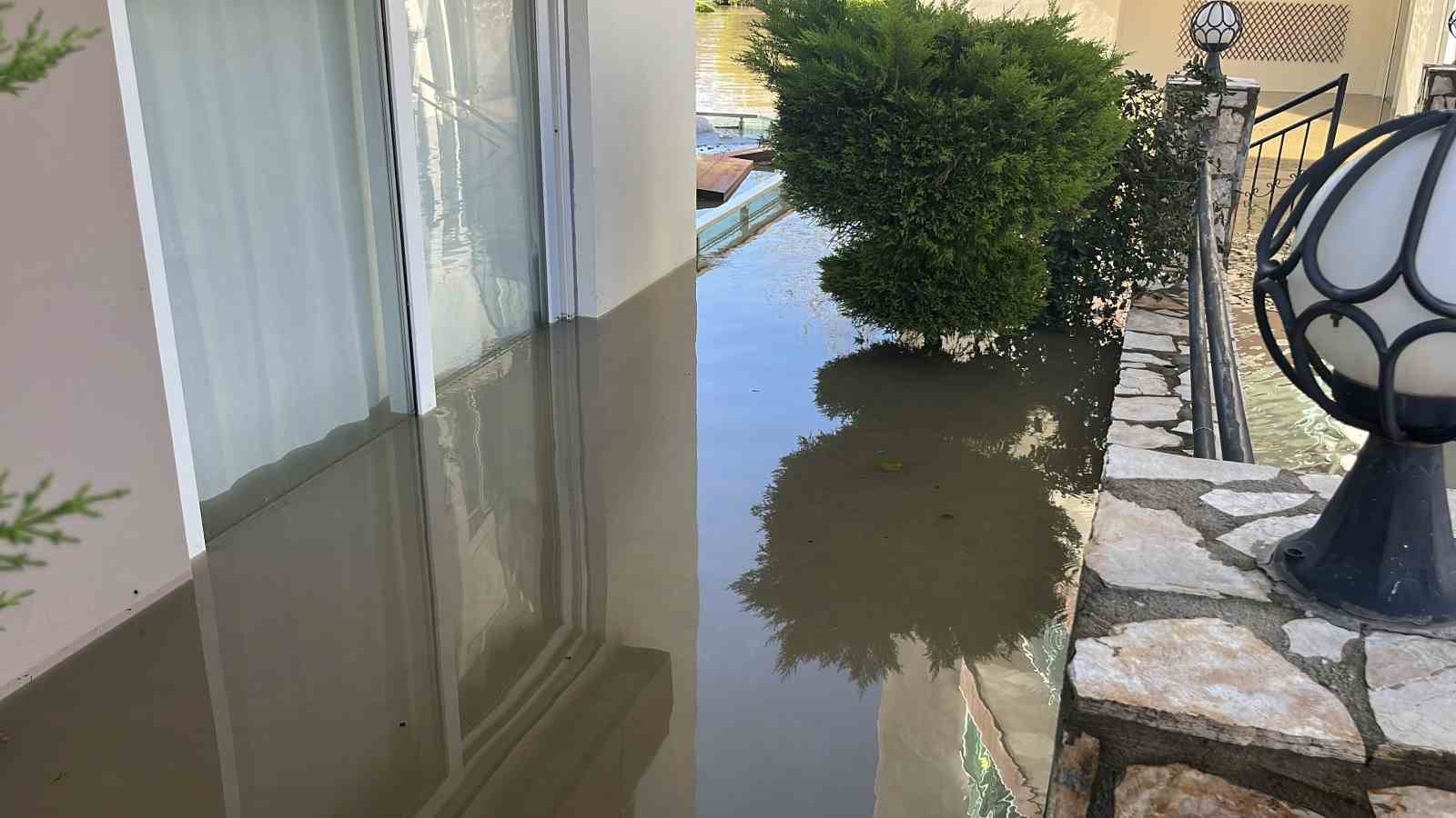 Taşan çaydaki işletme yıkıldı, sulara kapılmak üzere olan bir köpek son anda kurtarıldı
