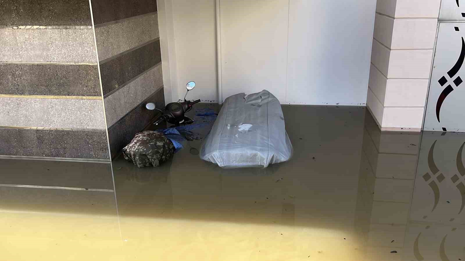 Taşan çaydaki işletme yıkıldı, sulara kapılmak üzere olan bir köpek son anda kurtarıldı
