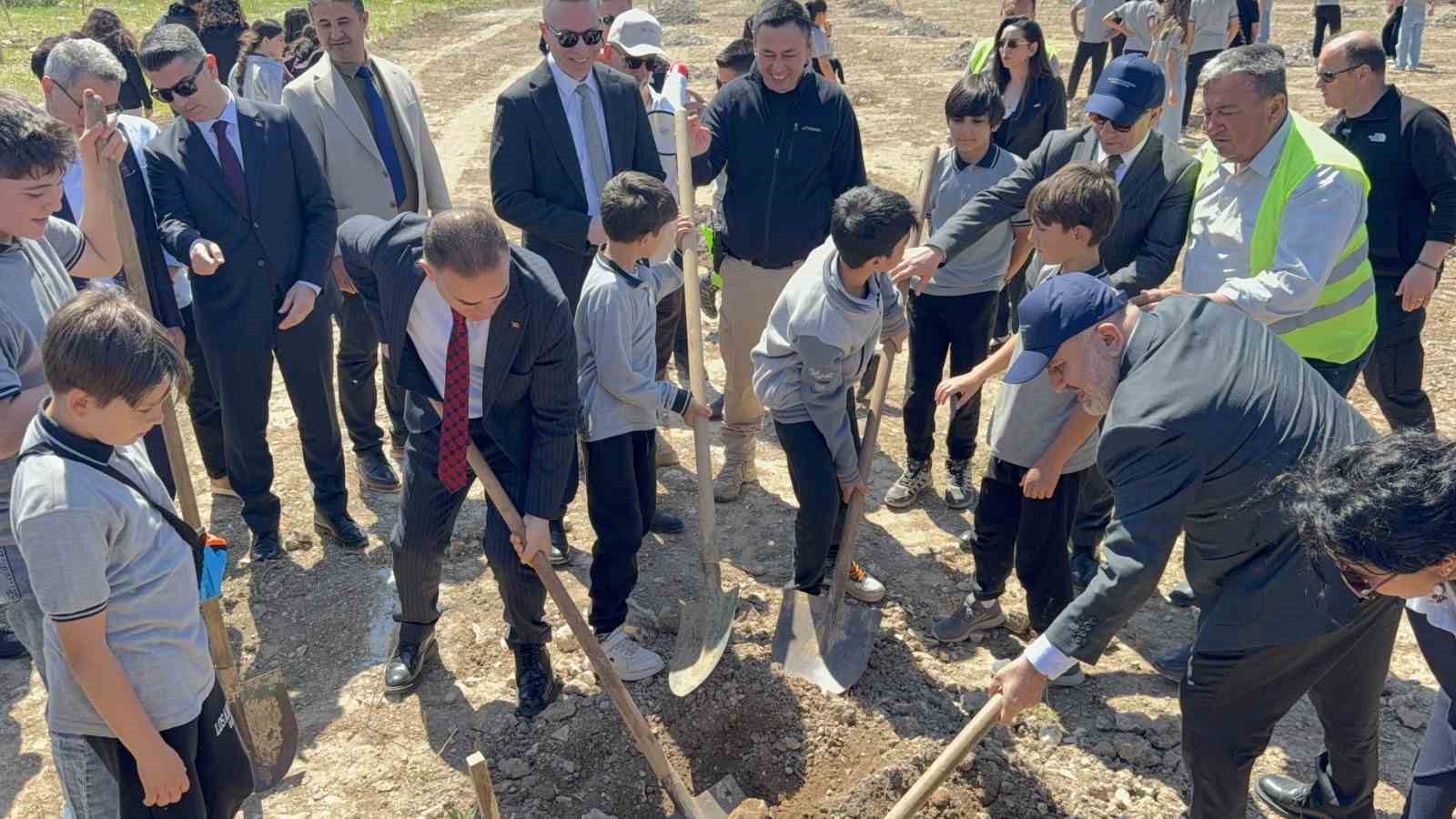 Taşınan her zeytin ağacına karşılık fidan: Milas’ta 4 bin zeytin toprakla buluştu
