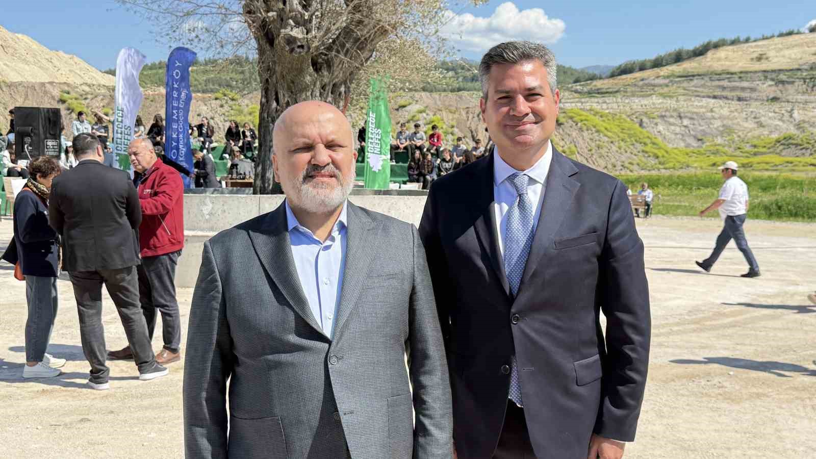 Taşınan her zeytin ağacına karşılık fidan: Milas’ta 4 bin zeytin toprakla buluştu
