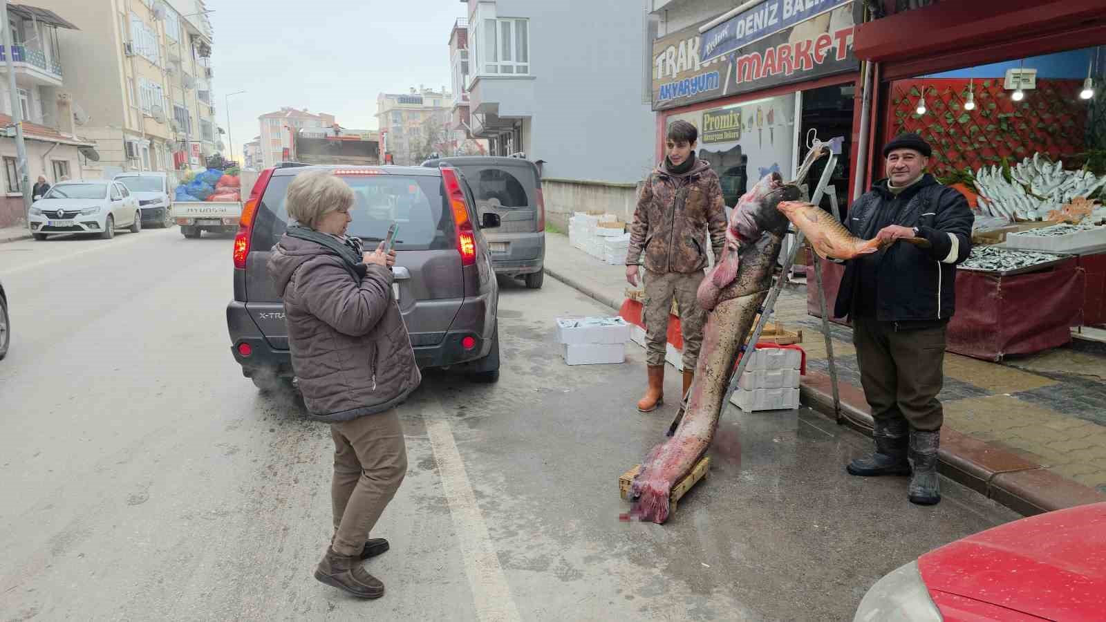 Taşkın dev balığı kıyıya attı: 102 kilo, 2.40 metre
