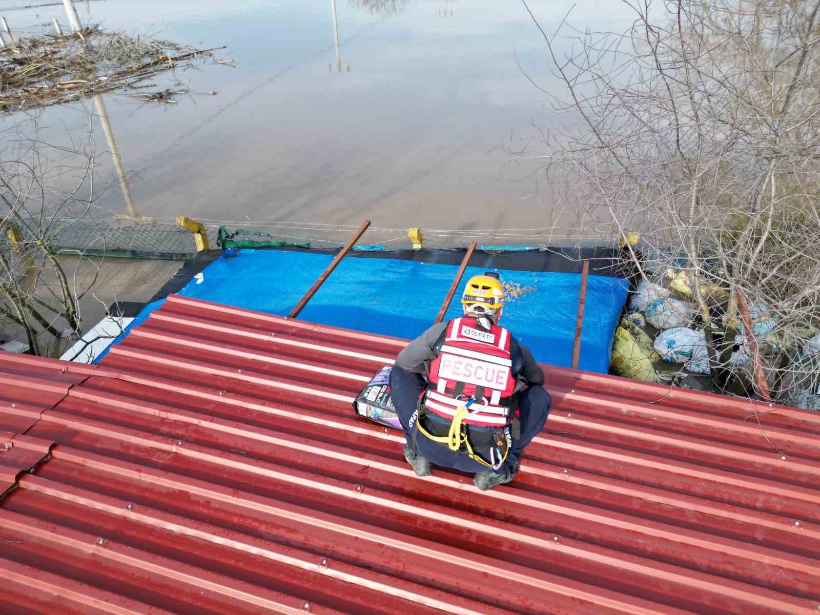 Taşkında mahsur kalan hayvanlar kurtarılmaya devam ediyor
