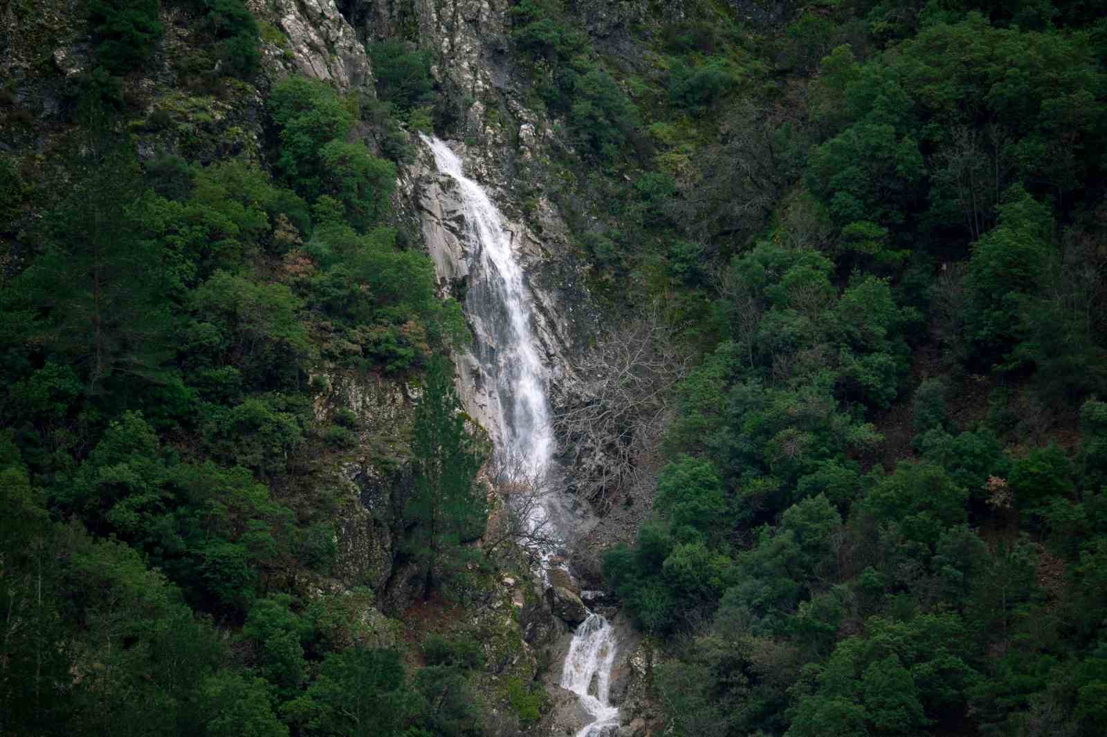 Taşkınlara neden olan yağmurlar kuruyan şelaleyi canlandırdı

