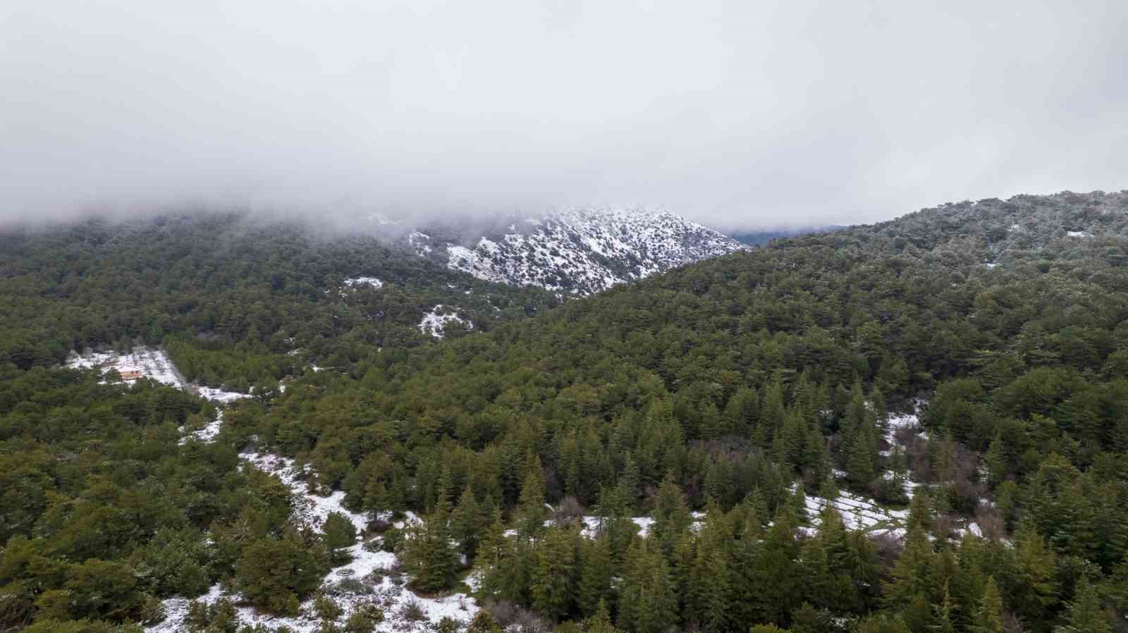 Taşkınlara neden olan yağmurlar kuruyan şelaleyi canlandırdı

