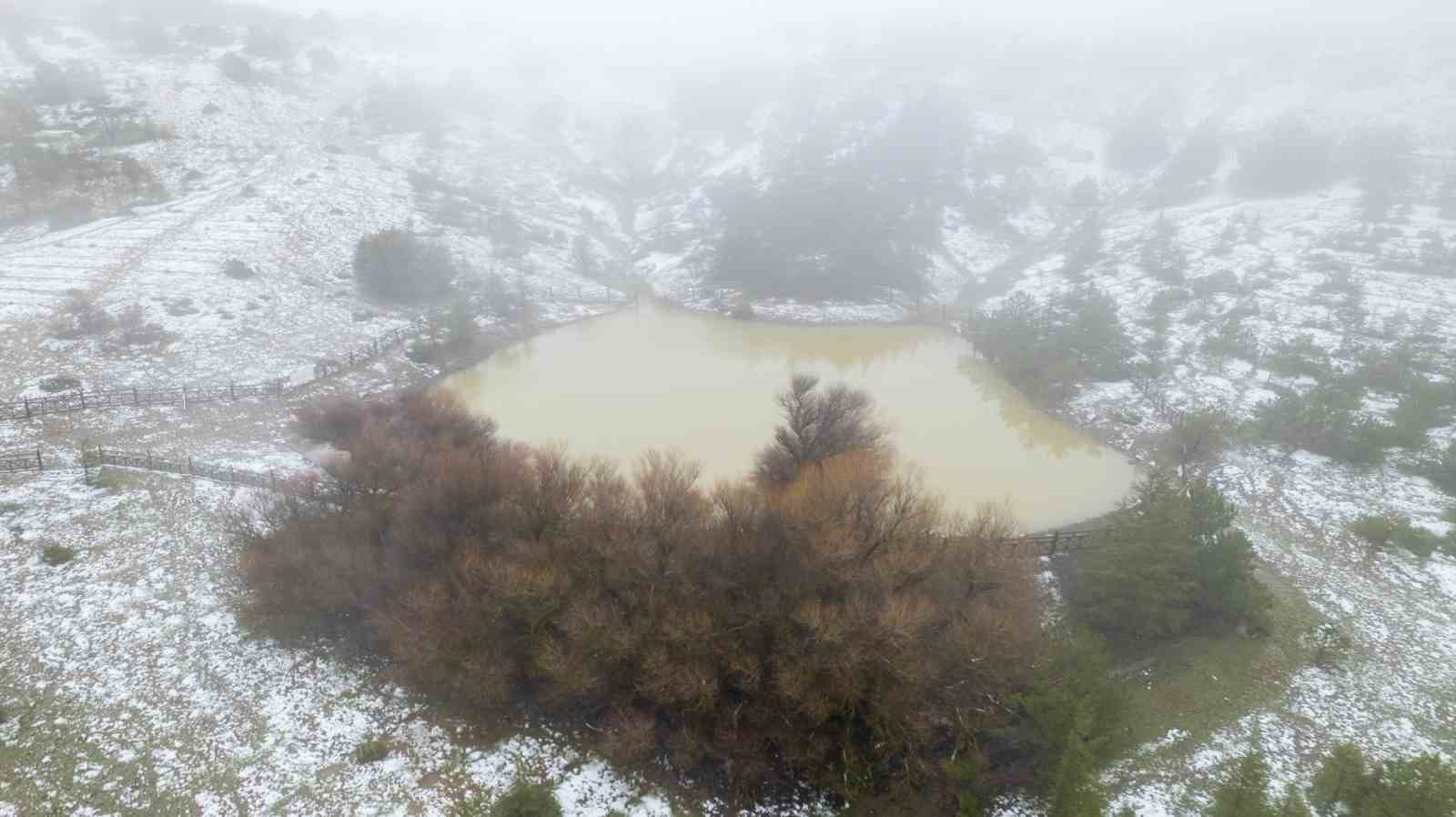 Taşkınlara neden olan yağmurlar kuruyan şelaleyi canlandırdı
