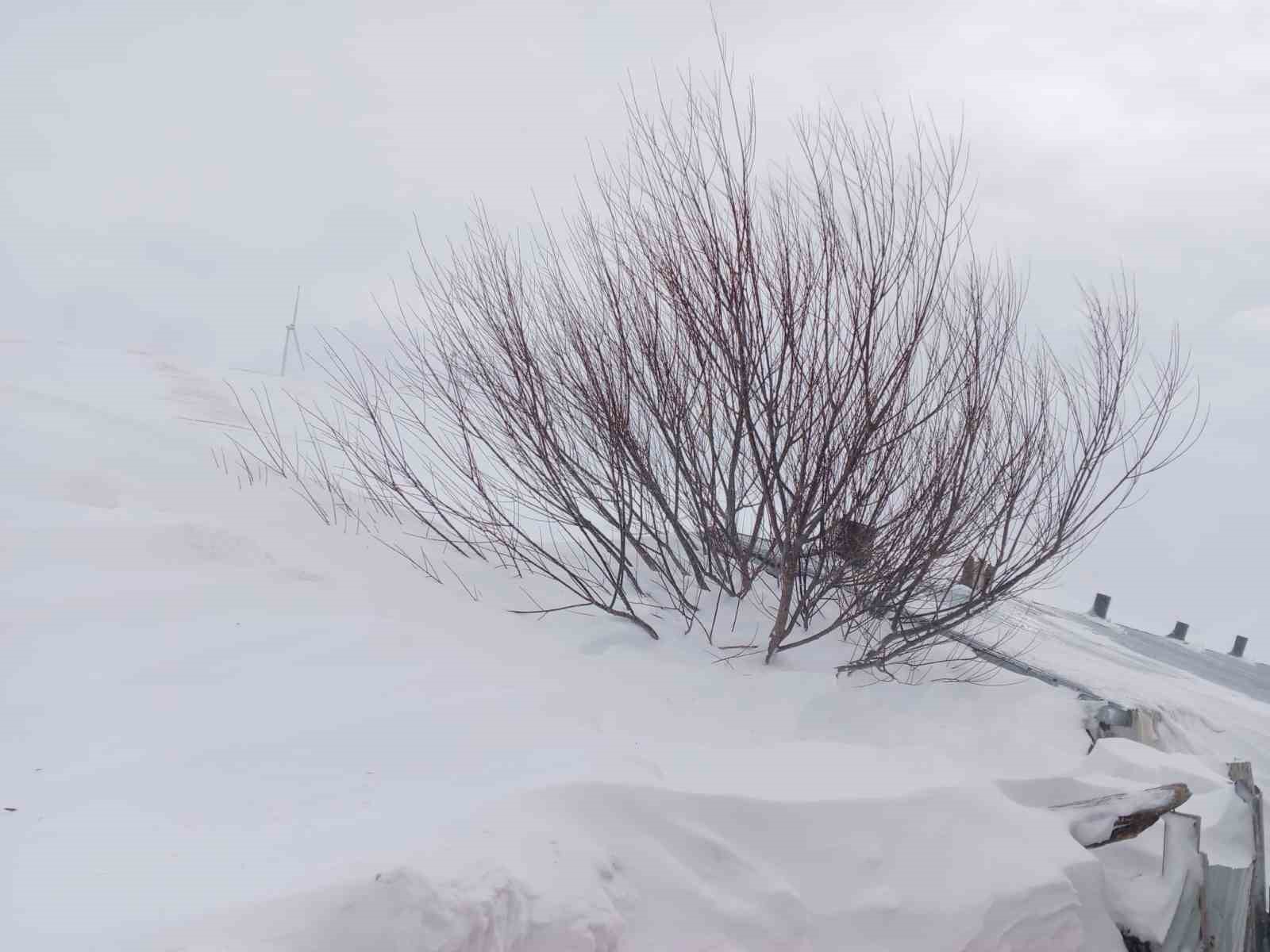 Taşlıçay’da kar yığınları evlerin boyuna ulaştı
