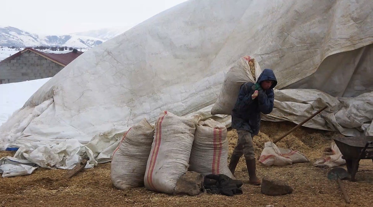 Tatvan’da yayladan besiye dönüş
