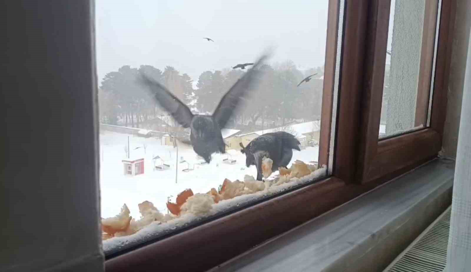 Tatvan’da yürekleri ısıtan davranış
