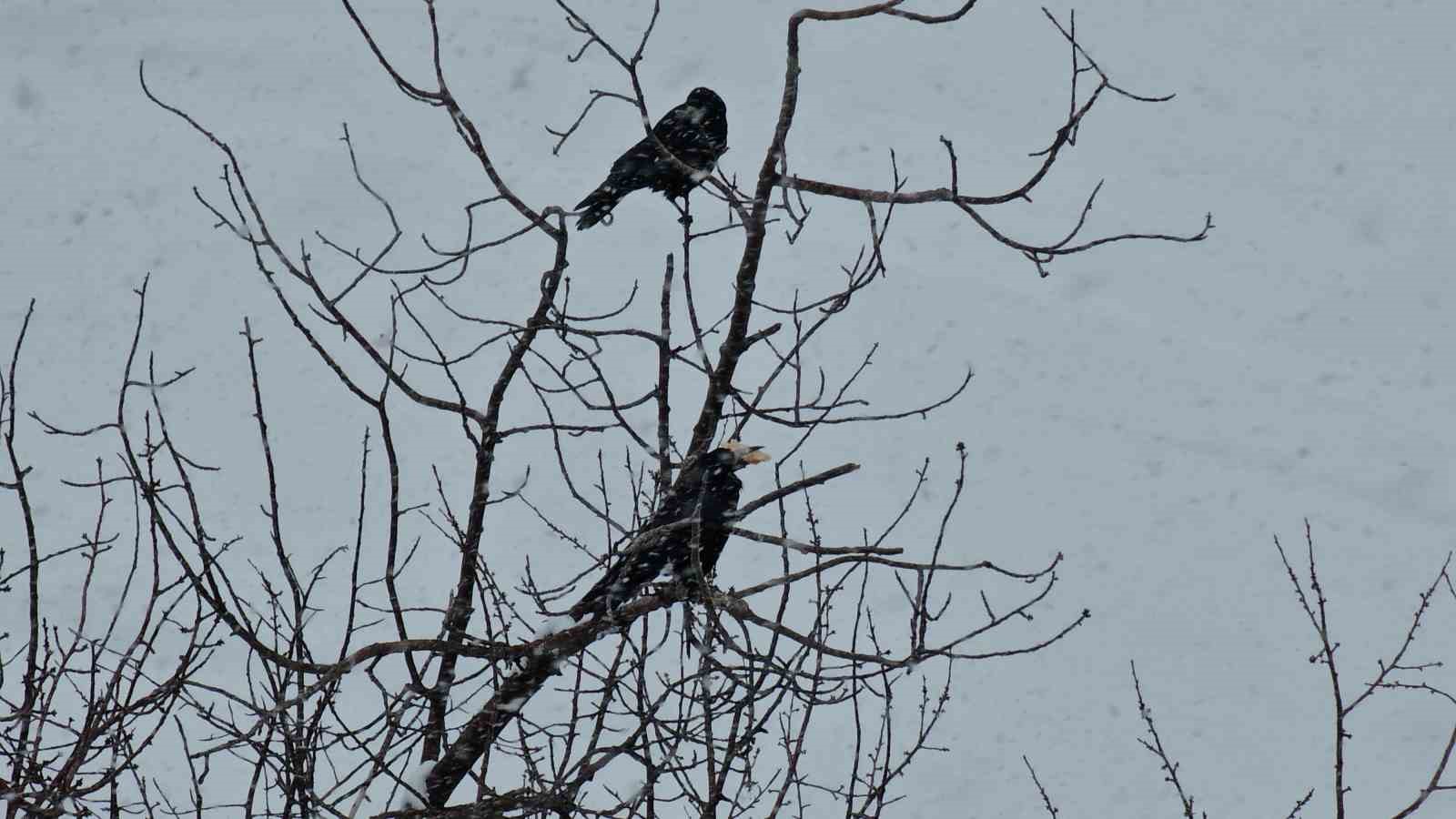 Tatvan’da yürekleri ısıtan davranış
