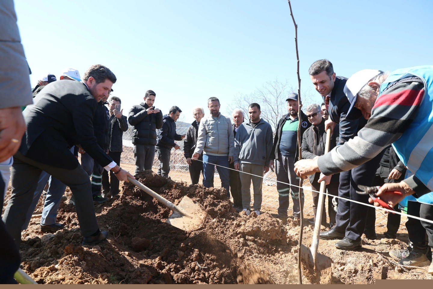 Tavas’ta "Ağaçta Birlik, Gelecekte Dirlik" projesi hayata geçti
