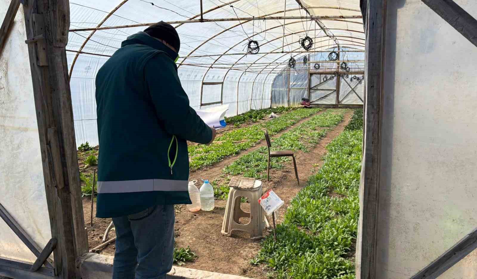 Tavşanlı’da KOBÜKS kapsamında sera kontrolleri
