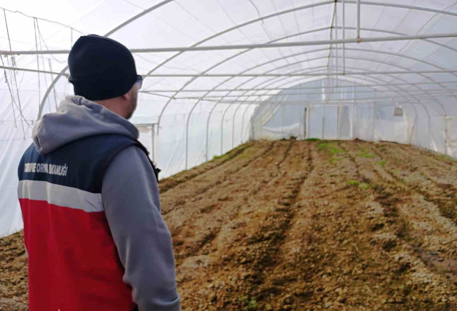 Tavşanlı’da KOBÜKS kapsamında sera kontrolleri
