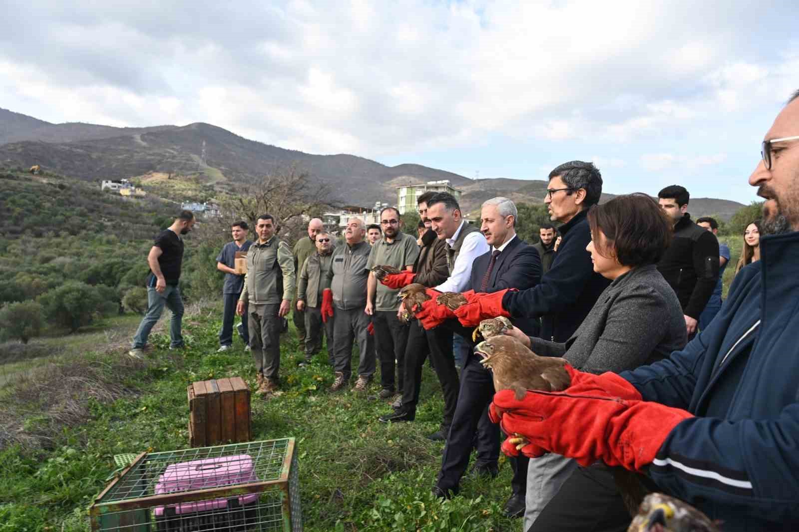 Tedavisi tamamlanan yırtıcı kuşlar özgürlüğe kanat çırptılar
