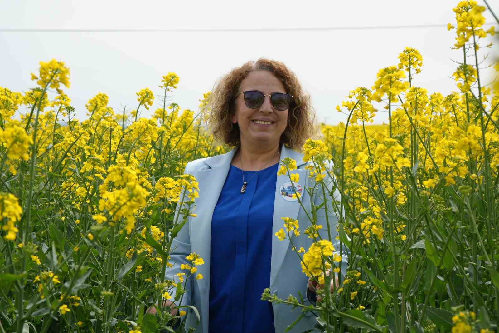 Tekirdağ sarıya büründü: Kanola tarlaları kartpostallık manzaralar oluşturdu
