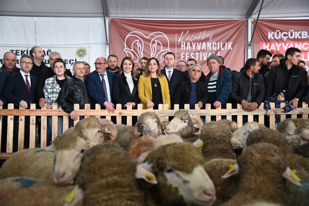 Tekirdağ’da küçükbaş hayvancılık festivali
