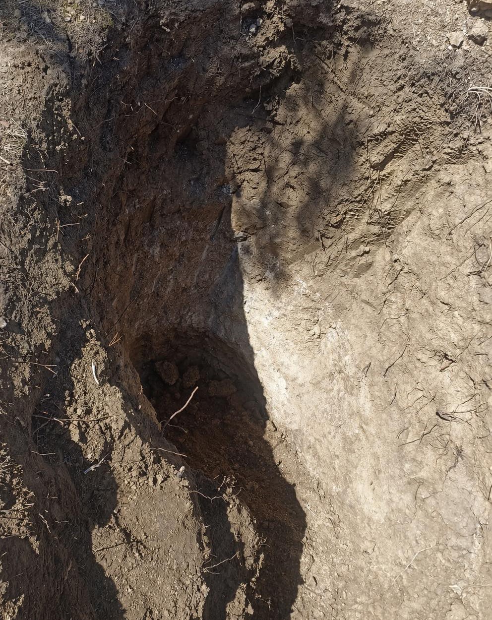 Tekirdağ’da mezarlıkta define aradılar
