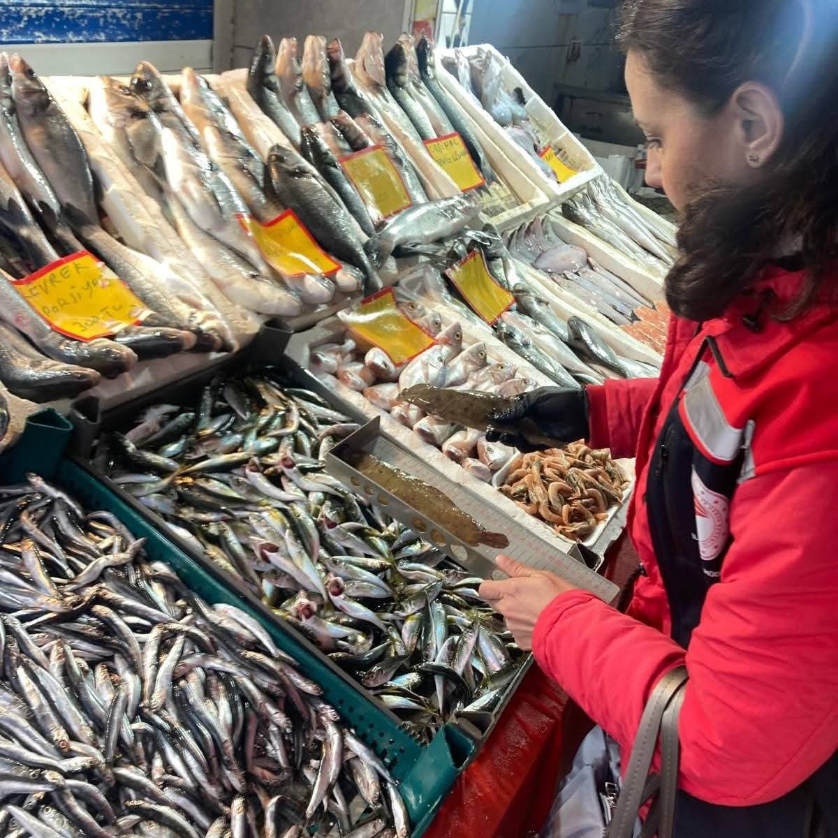 Tekirdağ’da su ürünleri denetimi
